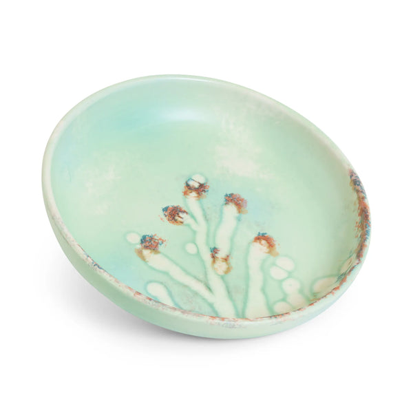 Coral Shallow Bowl